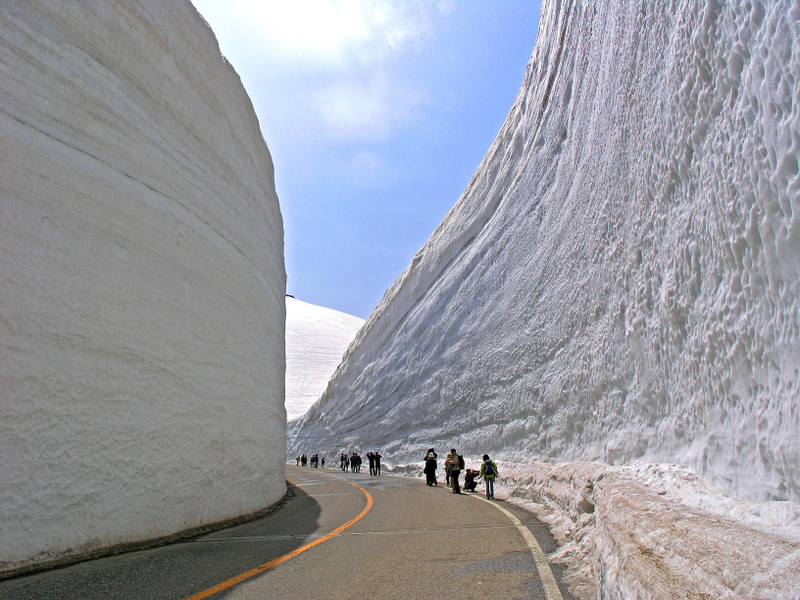 Illustration for article titled New York Looks Like Snow Zombieland—But It's Nothing Compared to Japan